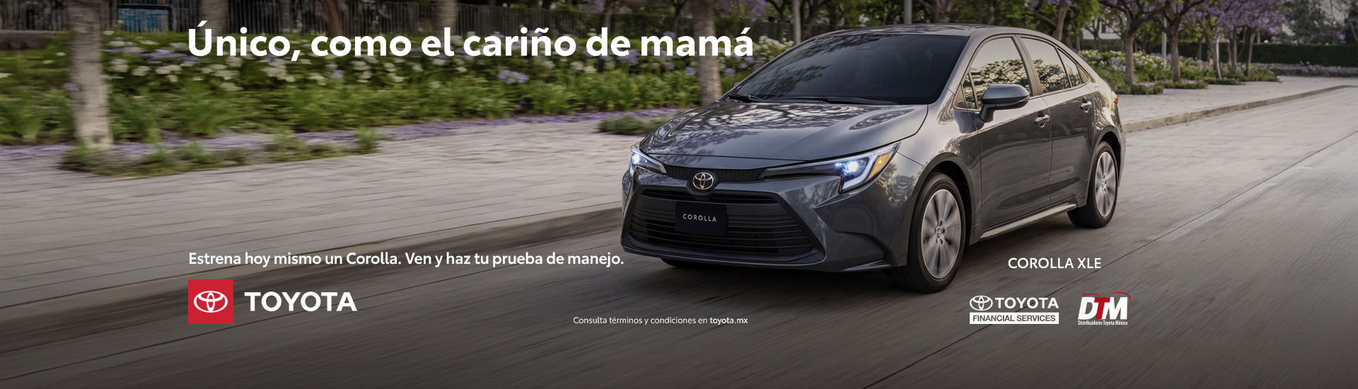 promocion
